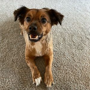 Meet your Posher, Noah